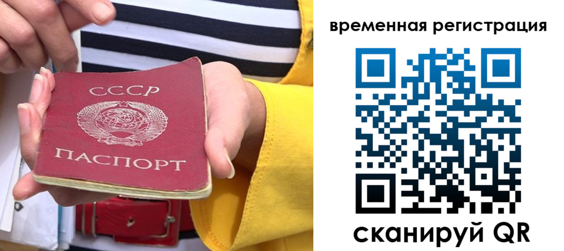 временная регистрация законно в Фрязино